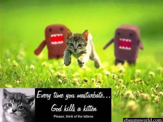 killercat.jpg